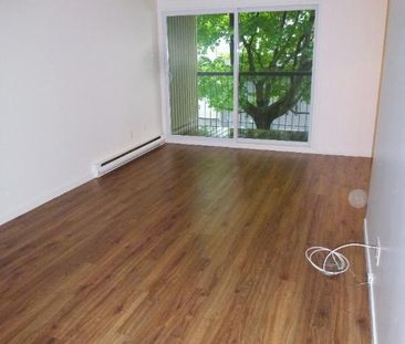 4 1/2 Chauffé/Éclairé, 1er Décembre, Lévis secteur Desjardins, UQAR... - Photo 3