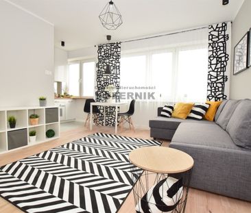 Toruń, Toruń - Photo 6