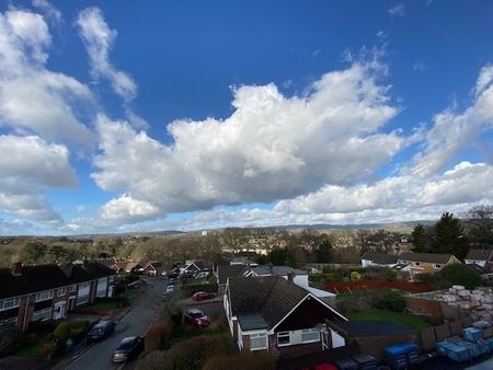 Clearwater Way - Photo 3