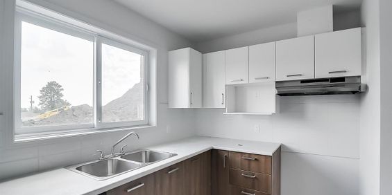 Muscat 8 (Aylmer) Magnifique Logement 3 1/2 - Photo 3