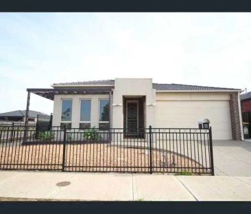 “4 bedroom Modern Family Living in Craigieburn's Best Pocket ✨” - Photo 2