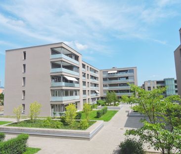 Modern wohnen in Rheinfelden - Photo 6