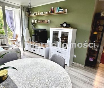 Wojska Polskiego - Photo 5