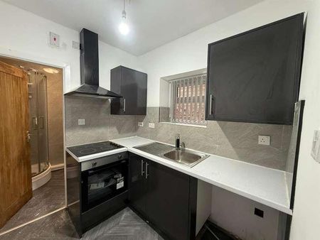 Winter Hey Lane, Horwich, BL6 - Photo 5