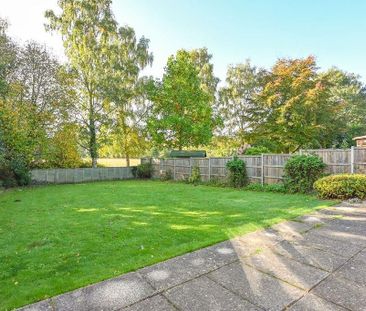 3 bedroom bungalow to rent - Photo 6