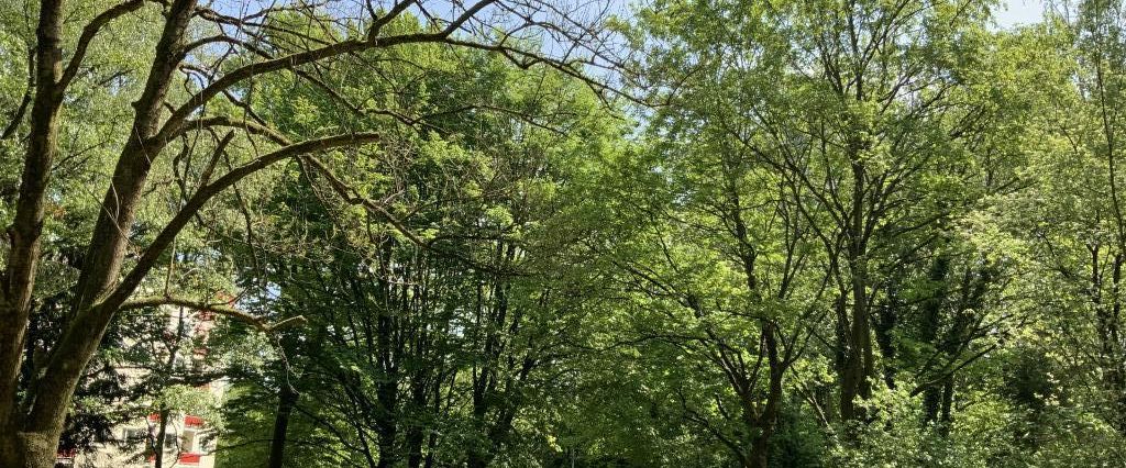 Demnächst frei! 2-Zimmer-Wohnung in Essen Margarethenhöhe - Photo 1