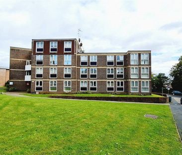 3 bedroom apartment to rent - Photo 4