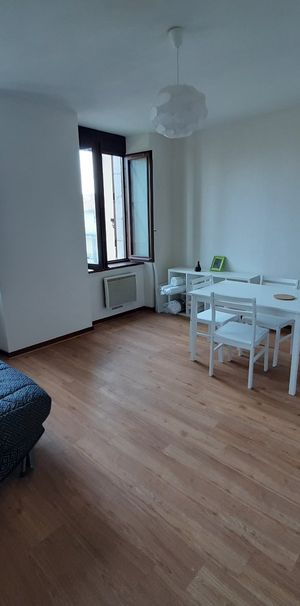 Location Appartement 1 pièce 26m² MONTREJEAU 31210 - Photo 1