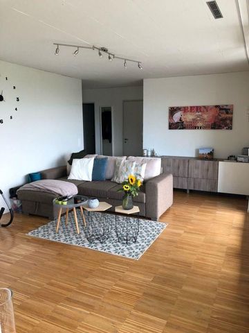 2.5 Zimmer Wohnung - Foto 5