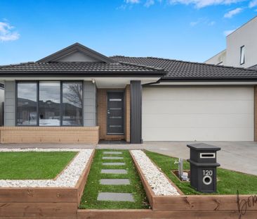 Stunning Family Residence in Prime Craigieburn Location - Photo 3