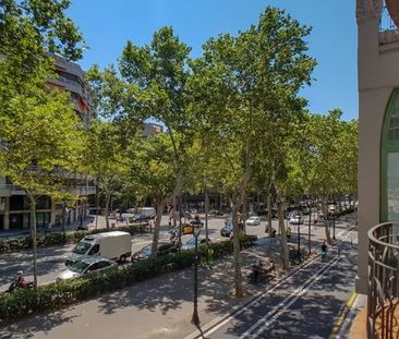 Gran Via de les Corts Catalanes, Barcelona, Catalonia 08007 - Photo 5