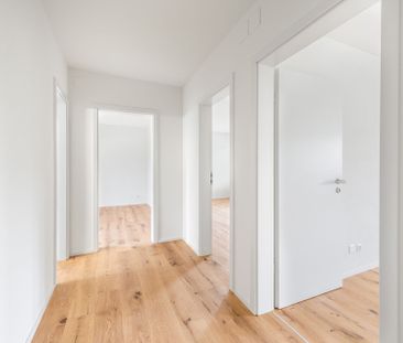 Newly renovated - Central - Your new home? - Foto 2