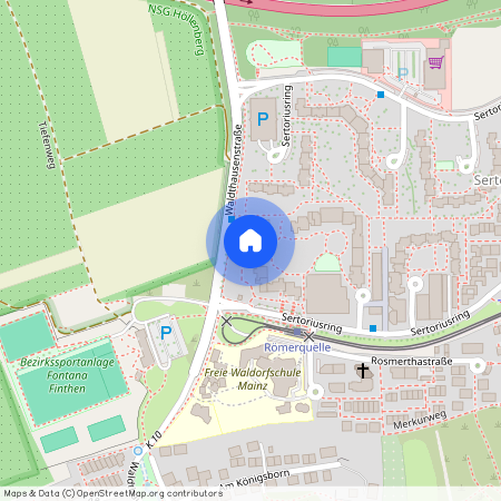 Sertoriusring 5, 55126 Mainz