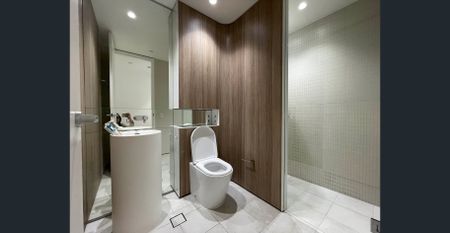 Modern Fully Furnished Studio in Central Park – Prime Chippendale Location - Photo 4