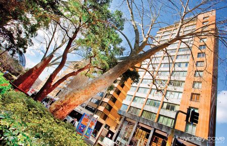 38 Bridge St, Sydney NSW 2000 - Apartment For Rent | Domain - Photo 5