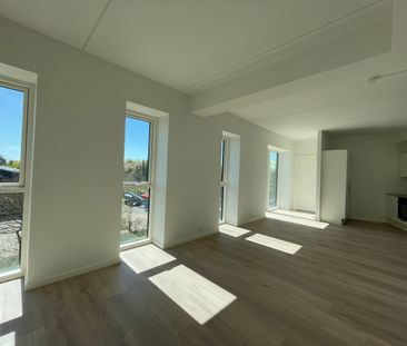 Gyldenrisvej - Foto 2