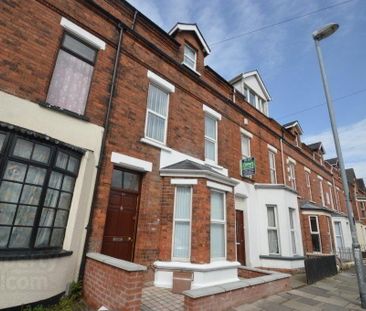 84 Cromwell Road, Belfast, BT7 1JY - Photo 4