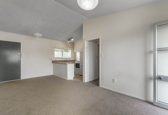 Bright one bedroom in Mt Eden - Photo 1