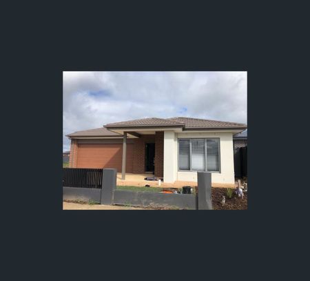 41 Telopea Road, Craigieburn, Vic 3064 - Photo 5