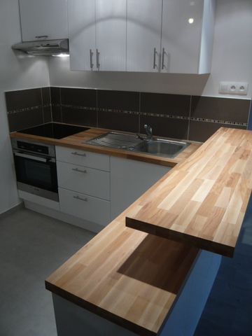 Location Appartement 1 pièce 30m² - Photo 4