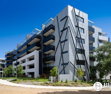 28/115 Canberra Avenue, Griffith ACT 2603 - Apartment For Rent - $6... - Photo 6