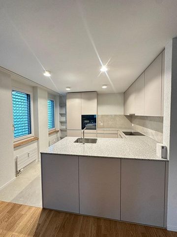 Erstbezug 3.5 Zimmerwohnung in Wetzikon - Foto 2