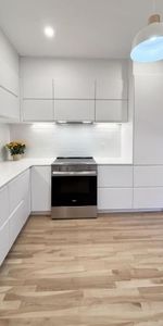 4 1/2 - Montréal (Centre-Sud) - 2 350 $/mois - Photo 3