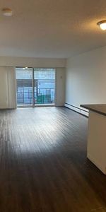 Spacious 1 Bed + Den in Vibrant East Van! - Photo 3