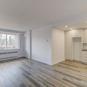 1 CH - 1 SDB - Montréal - $1,750 /mo - Photo 3