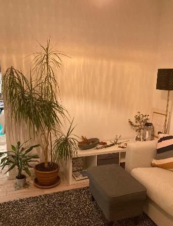 2 ZKB Wohnung mit EBK, top Zustand - Am Homburg - Photo 5