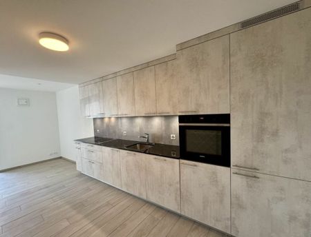 Coup de coeur ! Studio neuf de 55m² - Foto 3