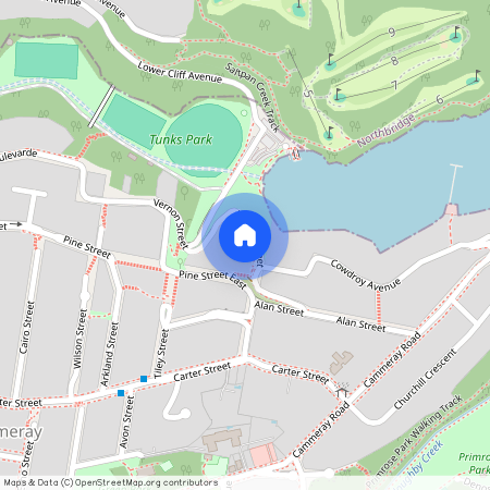 21 Stratford Street, NSW 2062, Cammeray