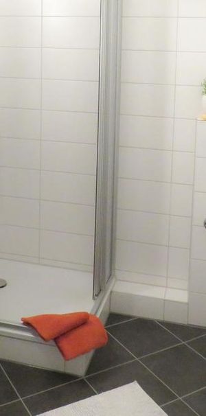 Möblierte Singlewohnung mit Dusche - Foto 1