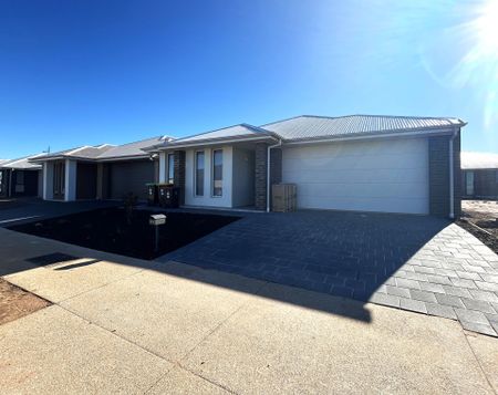 Stunning Brand New Family Home - Photo 4