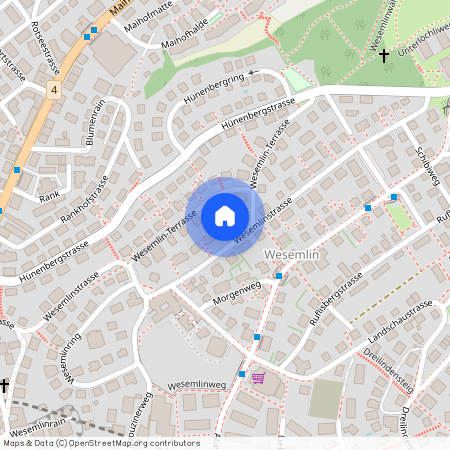 6006, Luzern, Wesemlinstrasse, 53