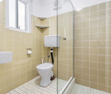 110 Burlington Street, Crows Nest NSW 2065 - House For Rent | Domain - Photo 2