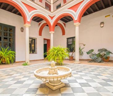 Sevilla, Andalusia 41004 - Photo 5