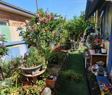 Collingwood - Photo 4