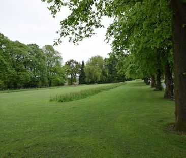 3 Bedroom Mews To Let - Photo 5
