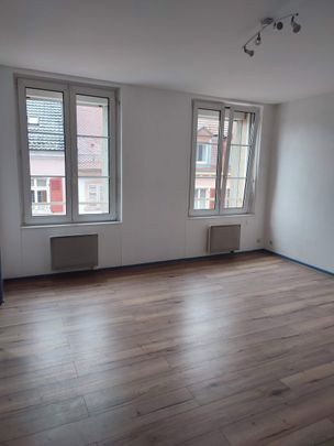 Location Appartement 1 pièce 30m² ALTKIRCH 68130 - Photo 1