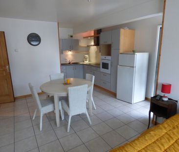 Location Appartement 1 pièce 31m² NOVALAISE 73470 - Photo 1