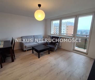 Dąbrowa Górnicza - Zdjęcie 5