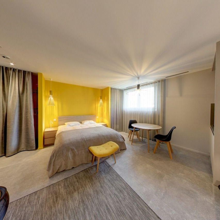 RÉSIDENCE MEUBLÉE "PETITE COUR" STUDIOS AVEC SERVICES HÔTELIER - Foto 1