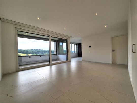Plugin 4 – Appartement 5.5 pièces au 12ème étage - Photo 1