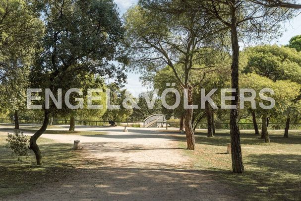 San Agustín del Guadalix, Community of Madrid 28750 - Photo 1