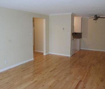 Seymour Place - Photo 1