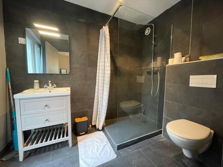 Location Appartement 2 pièces 24m² ANGERS 49100 - Photo 5