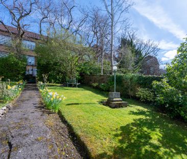 Victoria Circus - Photo 5