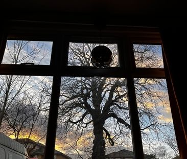 4 Bed Semi-Detached House, Green Lanes, N4 - Photo 2