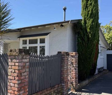 Magnificent on Margaret Street - Photo 2